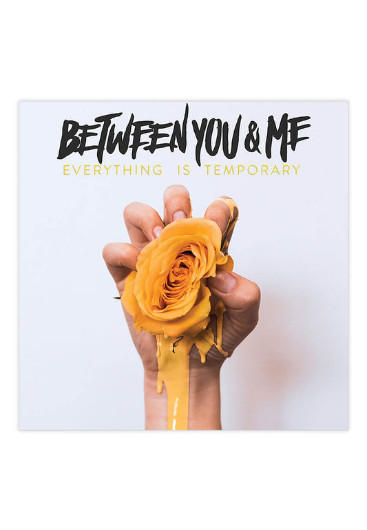Between You & Me - Everything Is Temporary - CD